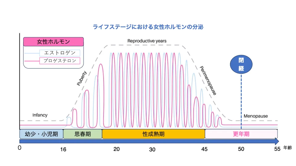 chart hormone